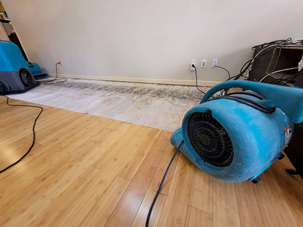 Professional Structural Drying technician working in Engelhard, NC